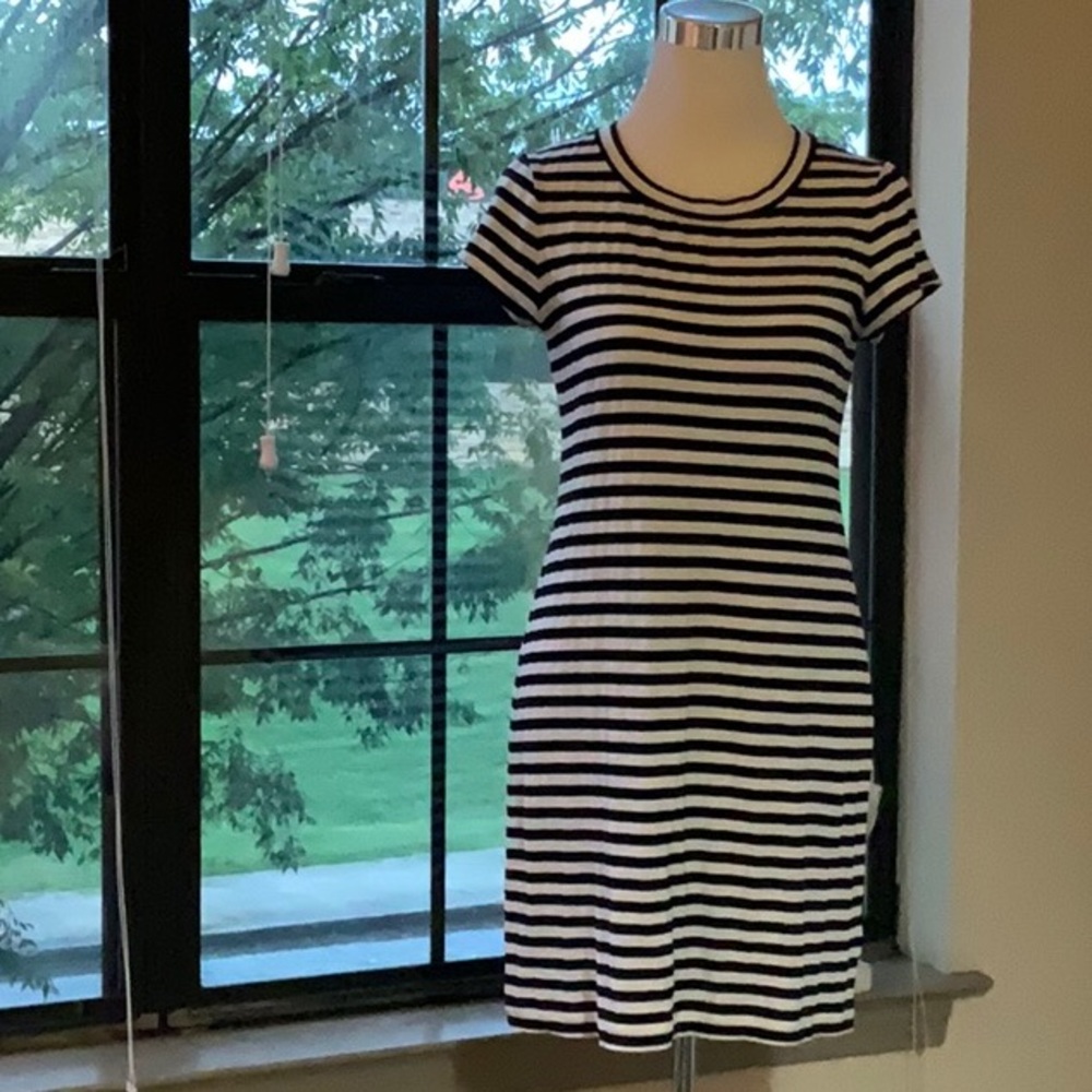 Banana Republic Dress Sz M